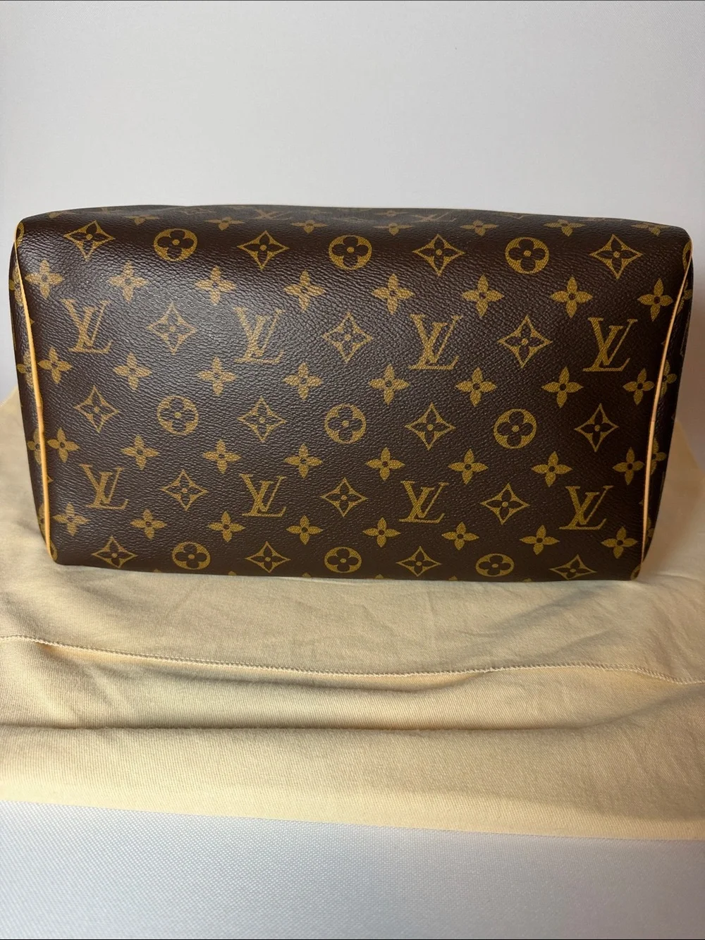 Louis Vuitton Speedy 30 Crafty